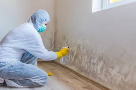 Trusted Port Monmouth, NJ Mold Prevention & Removal  Experts